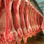2016年1-11月阿根廷猪肉产量及进口量均上升
